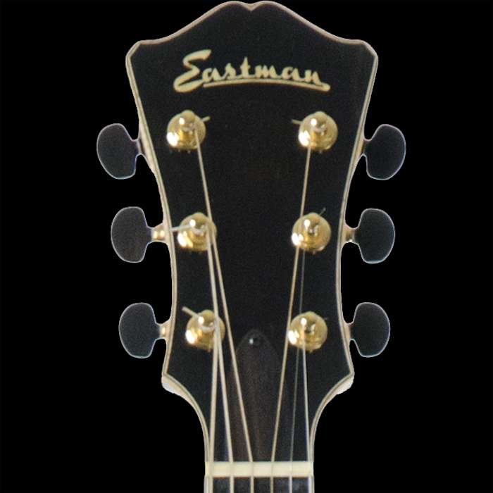 Eastman ar905 deals