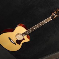 Eastman AC622CE #M2017648