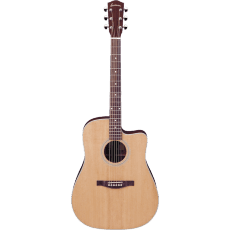 Eastman AC120CE Features