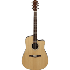 Eastman AC220CE Features