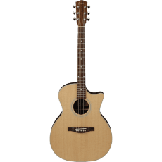 Eastman AC222CE Features