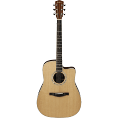 Eastman AC420CE Features