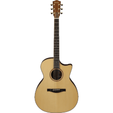 Eastman AC522CE Features