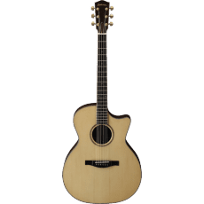 Eastman AC722CE Features