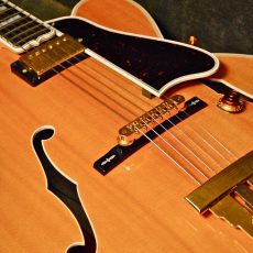 Gibson Wes Montgomery 2001 L5