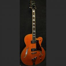 Peerless Electra Electric Blues & Country Rock Guitar #5190