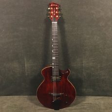 Eastman ER1 #1262 Archtop Hollowbody Guitar