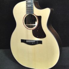 Eastman AC722CE w/ case #4266