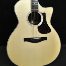 Eastman AC422CE #5124 New w/ case