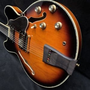 Peerless Renaissance Custom 40th Anniversary Electric Hollowbody